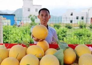 美少女长乐吃瓜,吃瓜成瘾，揭秘娱乐圈幕后风云