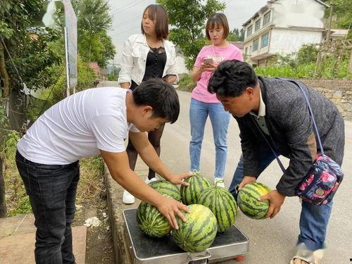 盘州吃小瓜,小瓜的诱惑，舌尖上的盘州风情