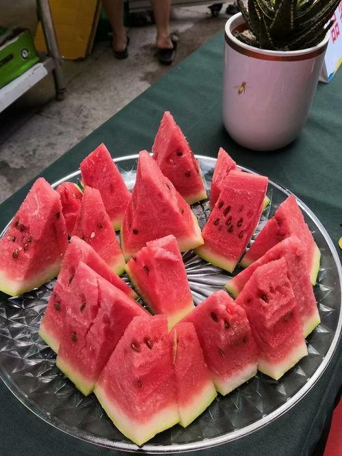 吃瓜霸花,揭秘娱乐圈背后的秘密与真相