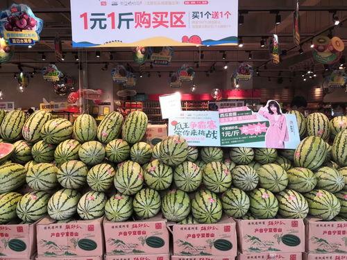 吃瓜霸花,揭秘娱乐圈背后的秘密与真相