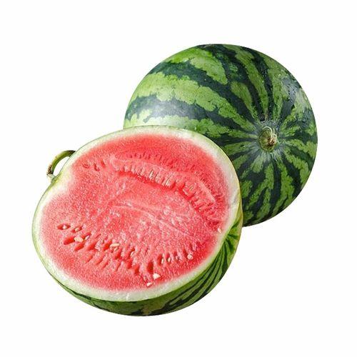 吃瓜季的水果大全,盘点时令美味，解锁夏日清新