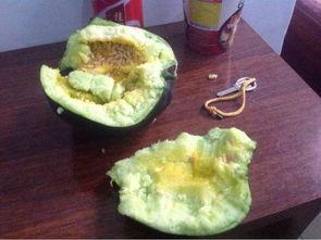 农村吃瓜图片,农村吃瓜图鉴，尽享乡村清凉时光