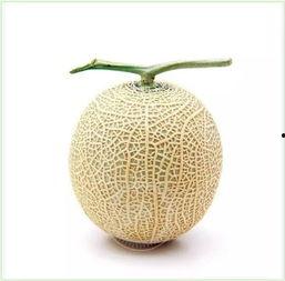 楚尘吃瓜,揭秘娱乐圈背后的那些事儿