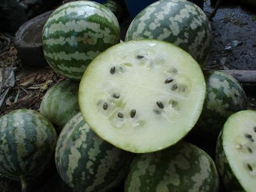 怀孕吃绿宝瓜,绿宝瓜助力母婴健康