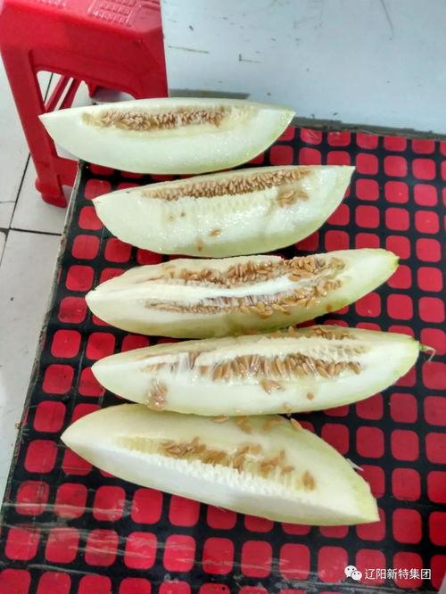 怀孕吃绿宝瓜,绿宝瓜助力母婴健康