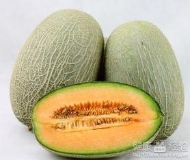 道具吃哈密瓜,尽享哈密瓜美味之旅