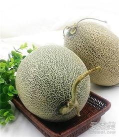 来号可以吃哈密瓜吗,哈密瓜的适宜食用指南