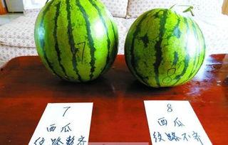 初四吃瓜,揭秘娱乐圈那些不为人知的幕后故事