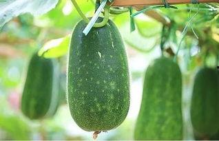 在下逍遥吃瓜,揭秘娱乐圈幕后风云