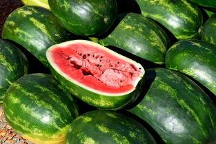 在下逍遥吃瓜,揭秘娱乐圈幕后风云