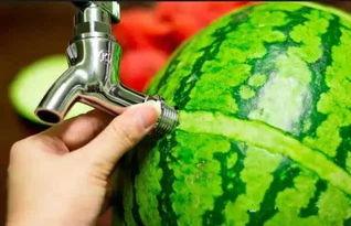 格力吃瓜,揭秘家电巨头背后的娱乐风云