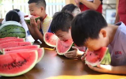 吃瓜网站大赛,吃瓜网站大赛精彩回顾