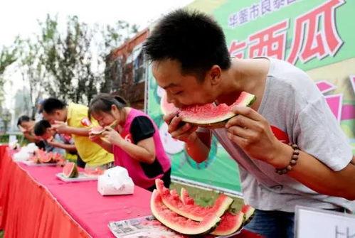 吃瓜网站大赛,吃瓜网站大赛精彩回顾