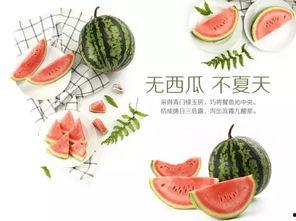 吃瓜网站大赛,吃瓜网站大赛精彩回顾