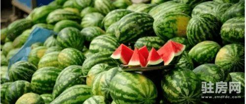 蓝奏吃瓜网站,揭秘娱乐圈幕后真相，带你领略网络舆论风云