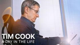 为啥昨天新闻吃瓜,吃瓜群众背后的真相