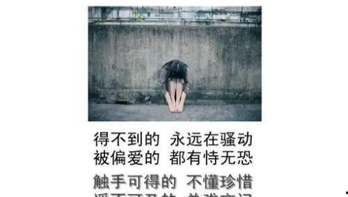 被偏爱的有恃无恐 吃瓜,揭秘“有恃无恐”的瓜界真相