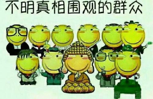 吃瓜群众游戏傻瓜呆瓜,傻瓜呆瓜的欢乐冒险之旅