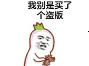 吃瓜群众游戏傻瓜呆瓜,傻瓜呆瓜的欢乐冒险之旅