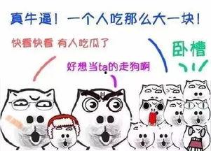 吃瓜群众游戏傻瓜呆瓜,傻瓜呆瓜的欢乐冒险之旅