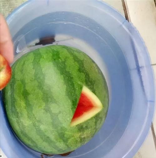 吃瓜搞怪头像 图文,趣味横生的表情包盛宴