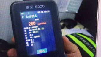 假装吃瓜群众怎么处罚,网络恶搞行为的法律边界与处罚