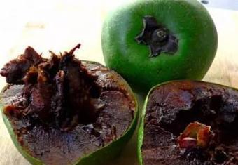 带你吃瓜之奇葩植物,带你吃瓜之奇葩植物大揭秘