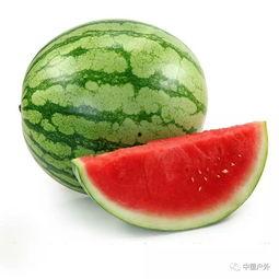 奉化职校吃瓜,揭秘校园里的热点瞬间