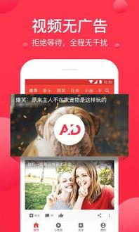 吃瓜博雅视频下载,热门视频下载攻略全解析