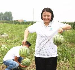 瓜农坐围栏吃瓜