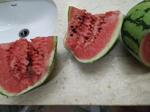 新疆吃的瓜客,探寻新疆特色瓜果之旅