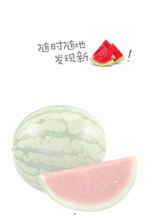 来回吃瓜,揭秘娱乐圈的甜蜜与苦涩