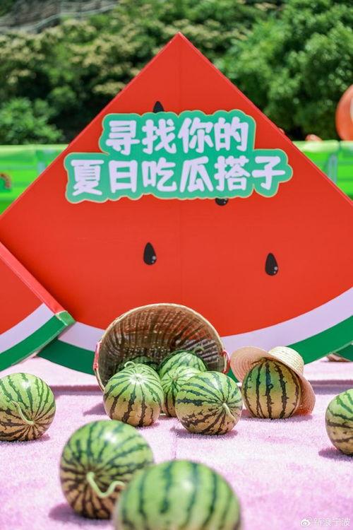 吃瓜欢乐社,揭秘娱乐圈幕后故事，带你领略明星们的真实生活