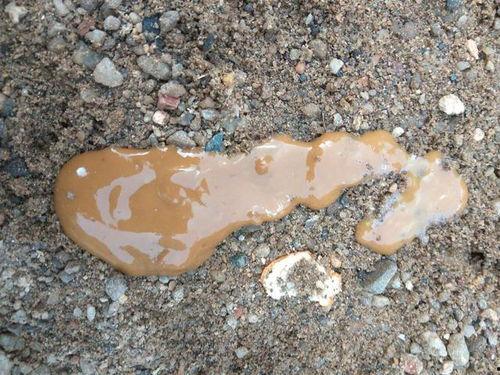 吃酉瓜拉红屎,揭秘神奇果实背后的神奇功效