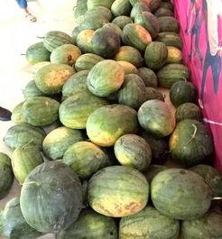 少陵公园吃瓜,夏日消暑好去处