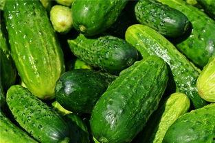 梦见妈在吃瓜,妈妈在吃瓜的奇幻之旅