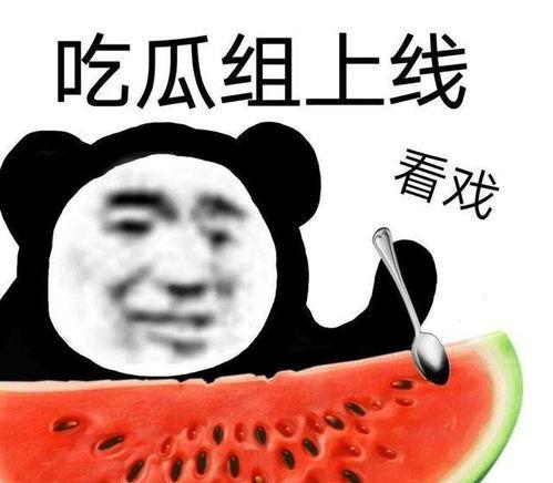 吃瓜吃的明白,看透娱乐圈风云变幻