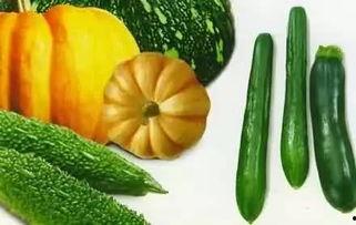 吃瓜木几舟,揭秘神秘瓜果背后的传奇故事