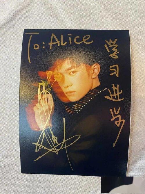 追星吃瓜嗑cp,从追星到嗑cp的甜蜜冒险