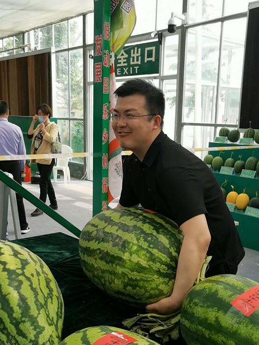 庄河吃瓜群众,吃瓜群众的夏日狂欢