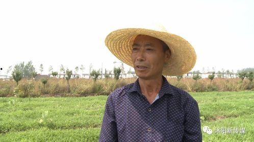 沭阳吃瓜直播间,揭秘当地美食与趣闻