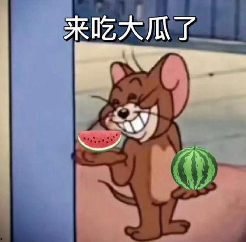 于适吃自己的瓜,于适的瓜味人生