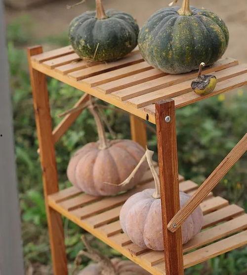 吃呢都是东边瓜,探寻传统美食的传承与创新