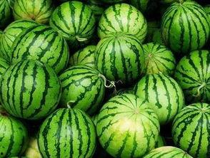 吃呢都是东边瓜,探寻传统美食的传承与创新