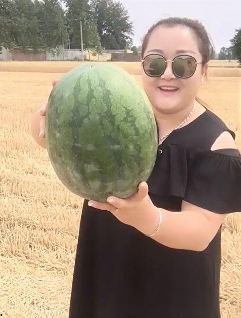 妖怪瓜地里吃西瓜,妖怪瓜里吃西瓜的神秘传说