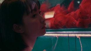 吃瓜少女邮递员