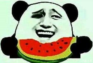 窝是吃瓜群众,揭秘吃瓜群众的趣味生活