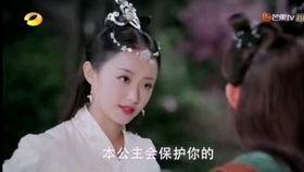 笑看吃瓜小说,一场场爆笑的娱乐圈风云