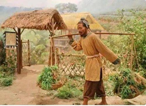 吃瓜博主路边,吃瓜博主带你领略市井百态