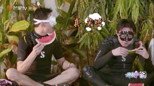 韬韬吃瓜,揭秘娱乐圈幕后故事